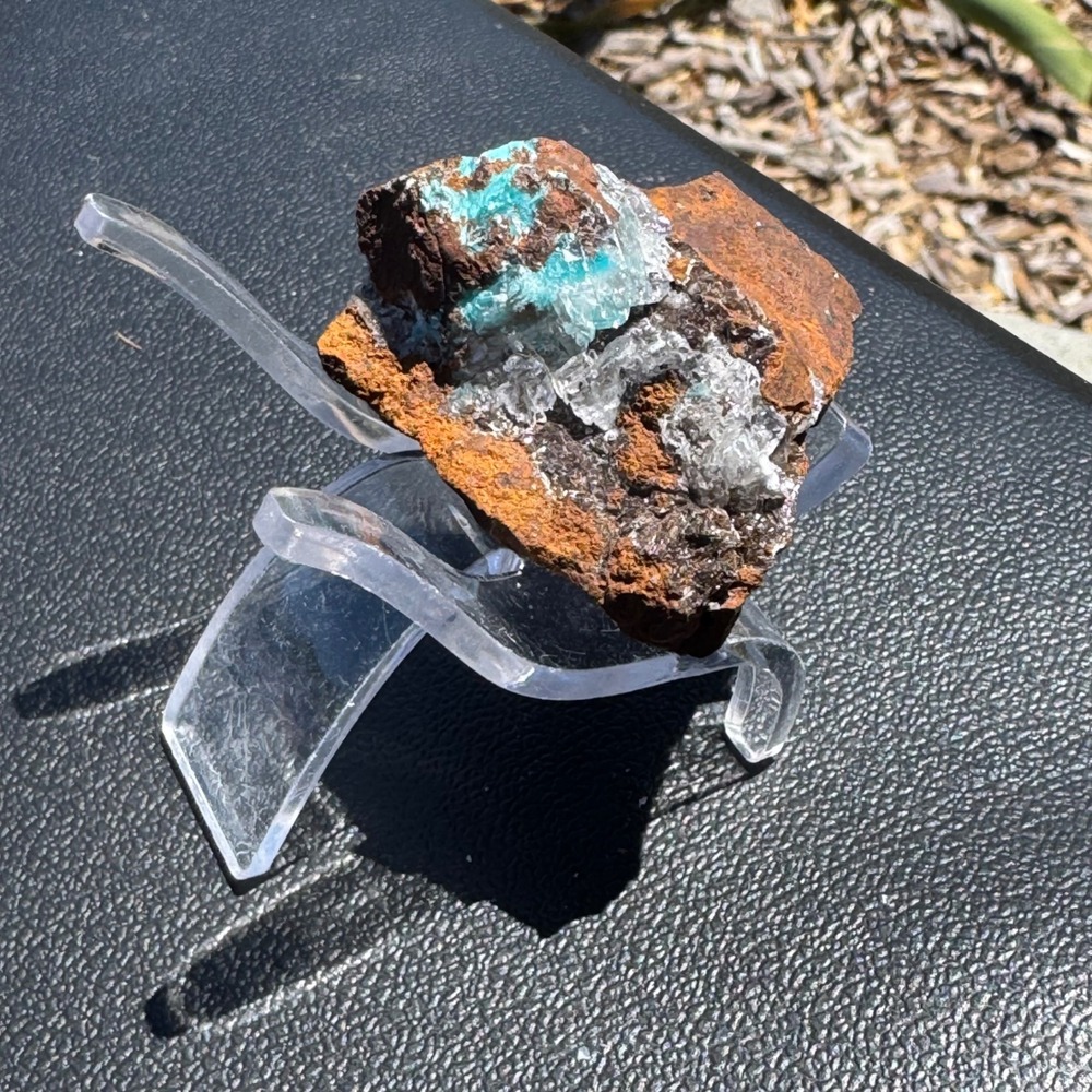 Natural Raw Turquoise Mineral Specimen in Brown Host Rock Matrix Crystal Cluster